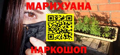 сатива Лесосибирск