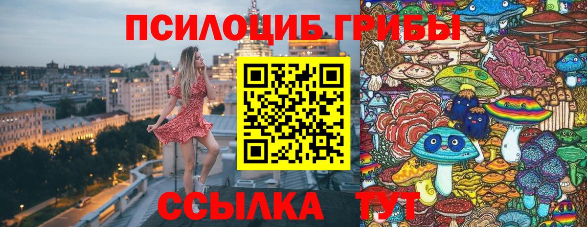 Галлюциногенные грибы Cubensis  Вход с VPN  Екатеринбург 