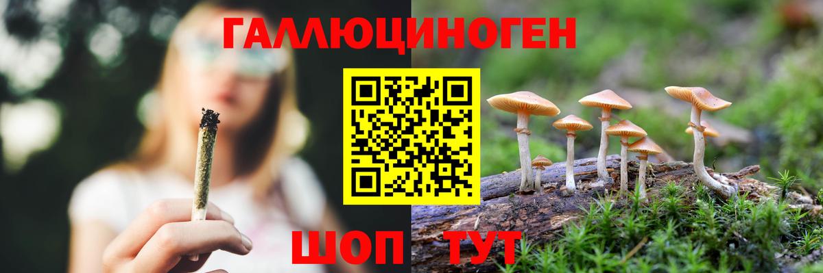 Псилоцибиновые грибы прущие грибы Екатеринбург